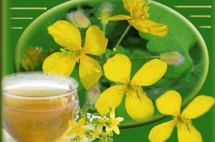 Decoction of celandine from the mushroom